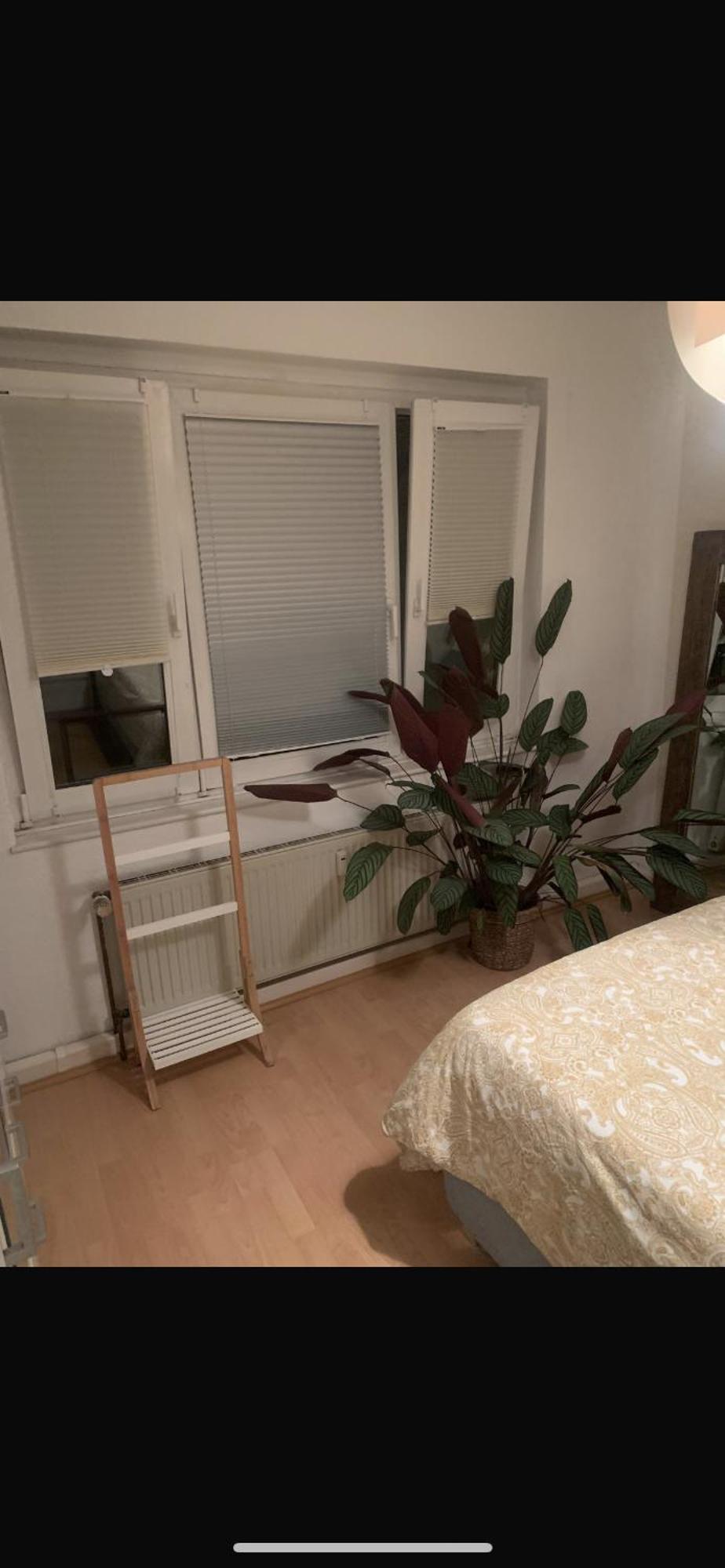 Kleine Gemuetliche Wohnung, Direkt Neben Messe Und Lanxess Arena * Keulen